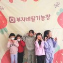 초심, 처음태권도 이미지