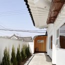 배동스테이 이미지