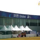 인천광역시크리켓협회 이미지