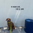 폴리파크 동해점 | 감자(구황작물X)와 함께 동해여행🌊