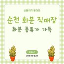 하나꽃직매