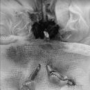 금샘동물병원 이미지