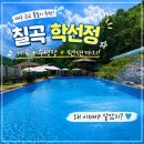 학선정펜션 | 칠곡 물놀이 학선정 후기 | 계곡 수영장 펜션까지 왜 이제야 알았지?