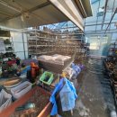 부영다육농장 이미지