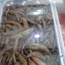 소문난 김밥 이미지