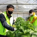 수석3리 이미지