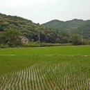 강하초등학교 이미지