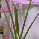 11545-02-07-08 | [일기] 2026. 02. 08