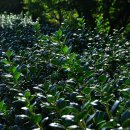 진해청소년수련원 이미지