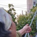 함께하는정진 1222일차입니다 이미지