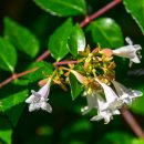 바람고개길 이미지