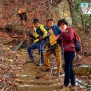 12월 3일 (토) 서울 둘레길 4코스 우면산 임실치즈님 리딩 이미지