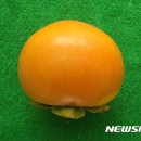 (주)경남개발 이미지