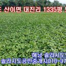 솔라공인중개사사무소 이미지