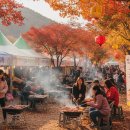 철마목장 | 철마한우축제 10배 즐기기 | 주차·할인·시식존 꿀팁 총정리