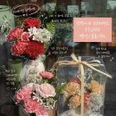 세븐일레븐인천송도2호점 | 어버이날 꽃다발 꽃바구니 카네이션 인천 송도 꽃집 시연화다 추천 내돈내산 후기