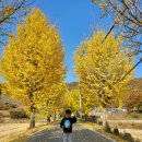 여흥목장 이미지