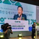 가야 고분군의 세계문화유산적 가치 | 가야고분군의 세계유산적 가치, 세계유산의 보존과 활용 : 가야고분군 세계유산 등재 1주년 기념 국제...