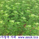 히스농원