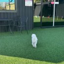 파주힐링몽 이미지