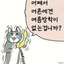 피자스쿨(양구점) | 8월 시작