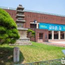 국립대구박물관 쉼터 티스토리