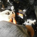 대한부란자 이미지