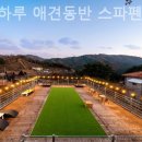 오늘하루 애견 동반 스파펜션 이미지