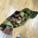 금천중앙교회 | 12월 셋째주 일상🔖