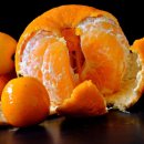 비타민(VITAMIM) 이미지