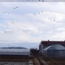 자경농장 이미지