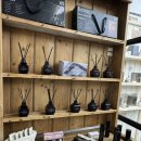 힐링 코믹쇼 쇼그맨2 | [공지] 🐭 경상도 시골쥐 커플의 서울 여행기 2탄 (북촌한옥마을, 신당동떡볶이타운, 대학로 연극, 쇼...