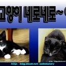 야옹이PC 이미지