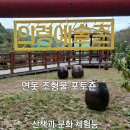 의령 예술촌 아이들과 함께 가면 좋을듯 (후기 )
