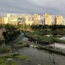 수완호수공원1 이미지