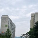 용인수지이유집 이미지