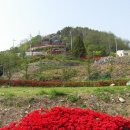 용소웰빙공원 이미지