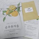 티위드커피 | 이런 맛이 비건이라고? 코엑스 비건페어 음식 리뷰 | 2025 베지노믹스-비건페어 인 서울 후기