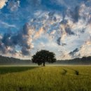 만사농장 이미지