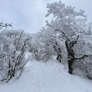 [ 140206 ] 평창 계방산 이미지