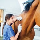 미래동물병원(산업동물진료) 이미지