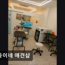 흰둥이네 애견샵 네이버블로그