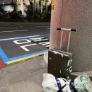 헬로우컷제주