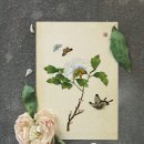 소원을 담은 우리그림 민화 | 예쁜 줄만 알았던 민화, 그림마다 의미가 있습니다.