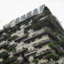 중국 Country Garden 부채 부채 폭발 전문가: 수백 개의 도시에 영향을 미칠 우려 이미지