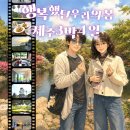 [제주 여행] 저녁에 출발하는 속이 꽉 찬, 제주 서남부 3박 4일 여행(feat. 제주 투어패스)