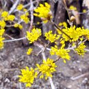 현천마을 이미지