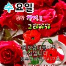 🍒역심과 강심🍒.🎶현역가왕 당당 2위.마이진.옹이🎶 이미지