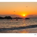 희망의아침 이미지