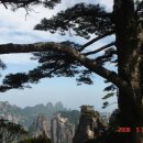 귀거래사 이미지